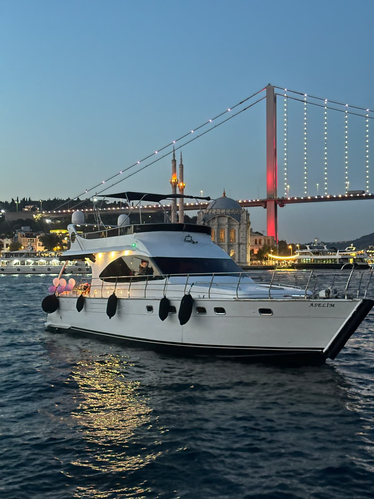 Private Bosphorus boat charter for groups and celebrations