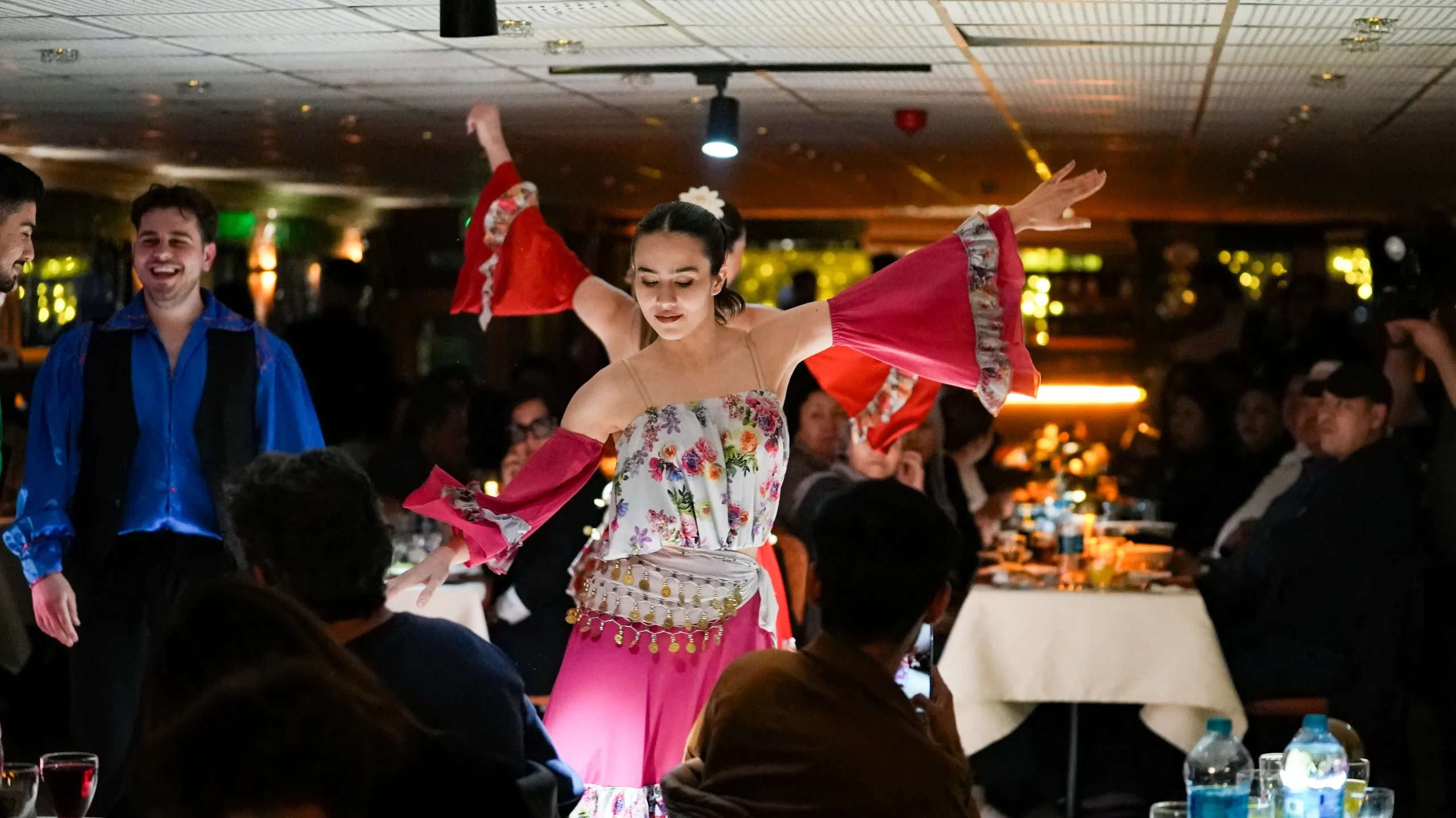 Bosphorus dinner cruise dining experience